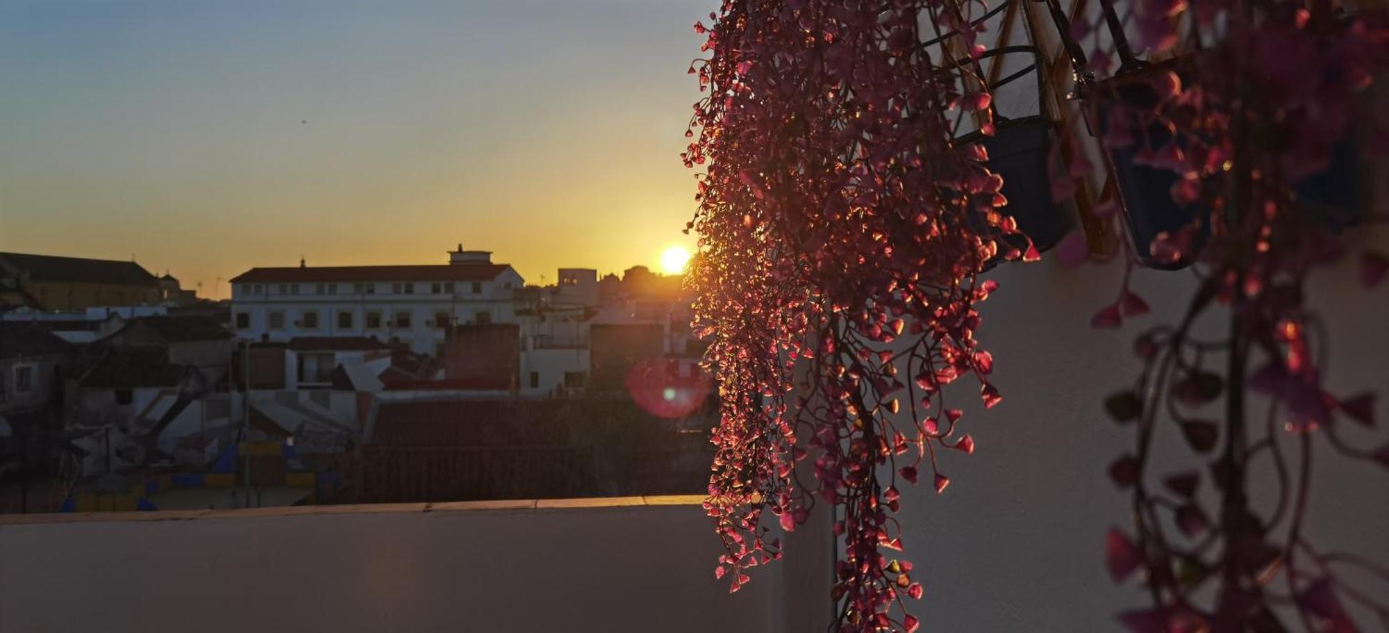 La Luz De San Eloy Leilighet Córdoba Eksteriør bilde